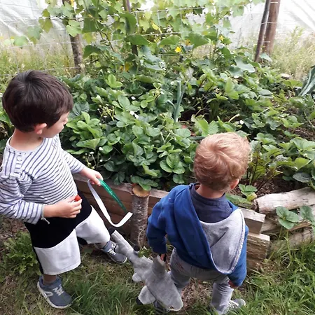 Holiday home Terre Et Eau - Avec Complementaire